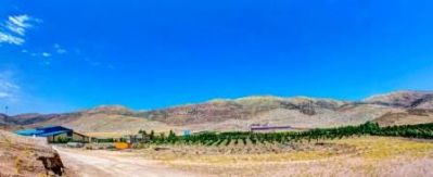 فروش کارخانه غذایی در جنوب کشور 