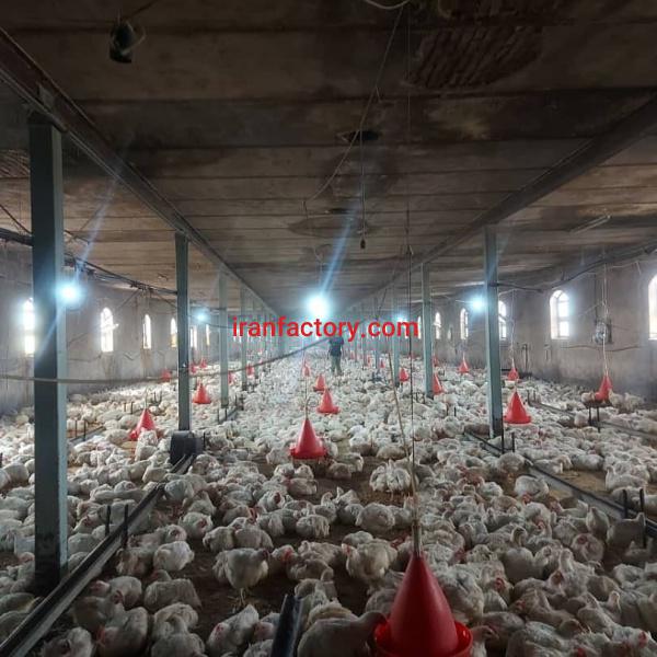 فروش مرغداری لرستان