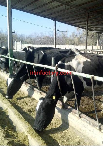 فروش گاوداری تبریز