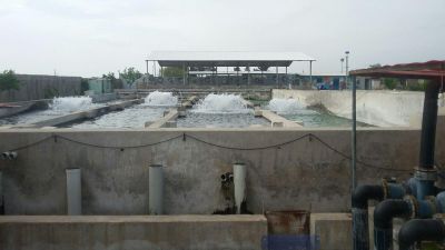 فروش مزرعه پرورش ماهی در رباط کریم