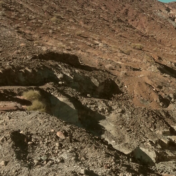 خریدار کرومیت