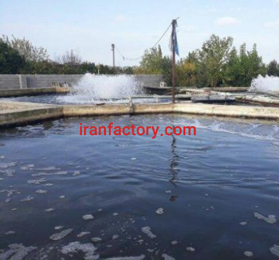 استخر پرورش ماهیِ سردابی فروشی و معاوضه در ساری