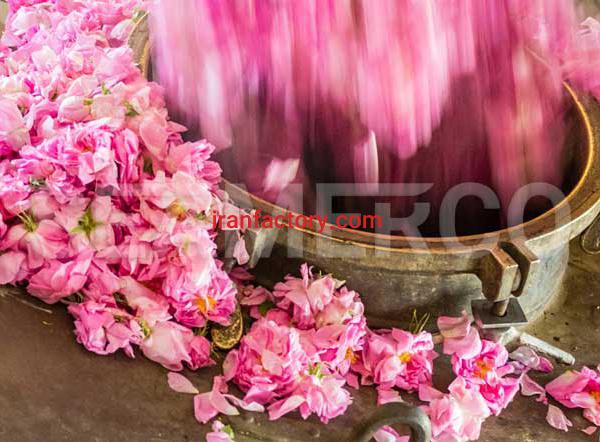 سازنده خط تولید مربای گل محمدی سیمرکو تهران