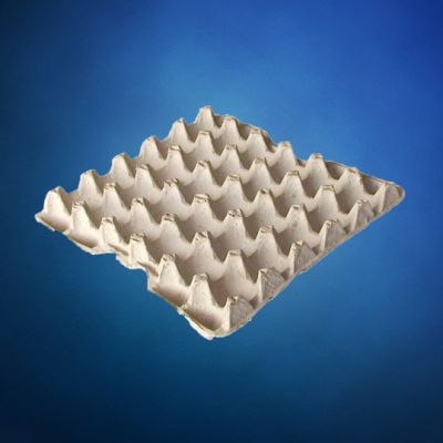 ورقة كرتون البيض نوعية ممتازة  تصدير أحجام مختلفة