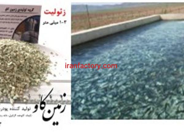 بررسی اثرات زئولیت بر خوراک میگو ها(Zeolite)