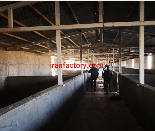 فروش 40000متر مزرعه پرورش شترمرغ در ساوه