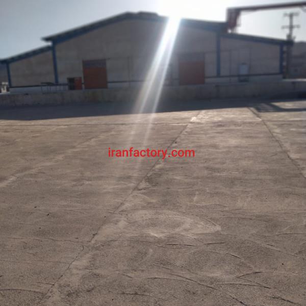 کشتارگاه صنعتی مرغ