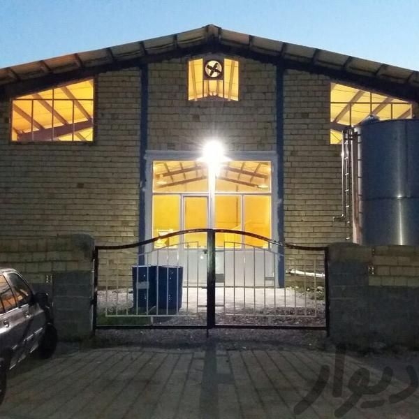 فروش کارخانه پودر لباسشویی در ارومیه