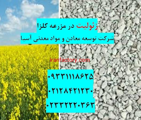 فروش زئولیت در کشت کلزا
