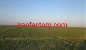 فروش زمین کشاورزی میانه