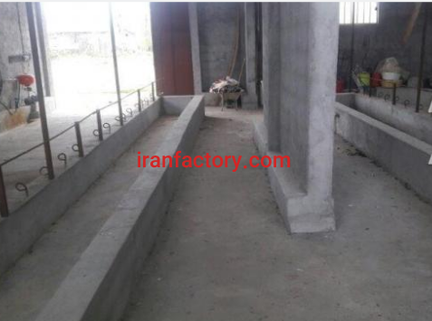 فروش 200 متر گاوداری در آستانه اشرفیه