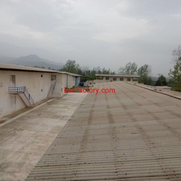 فروش یا معاوضه مرغداری واقع در گرگان