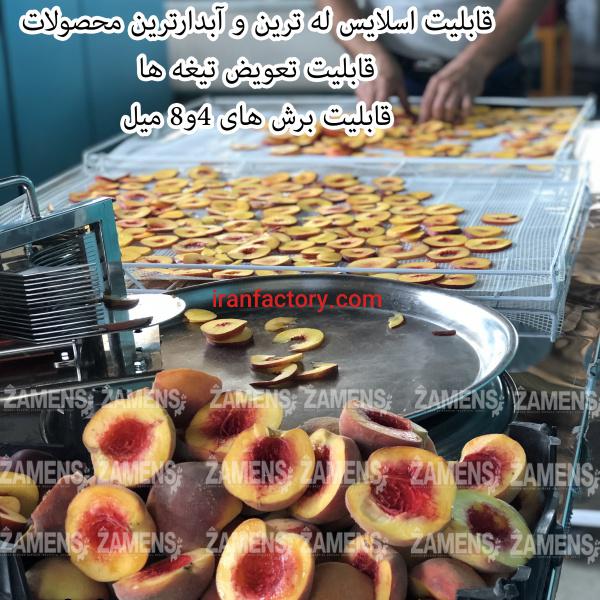 خرید اسلایسر دستی میوه در اصفهان