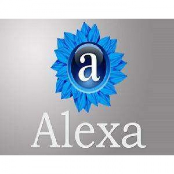 افزایش بازدید و سئو کاری در 7 روز