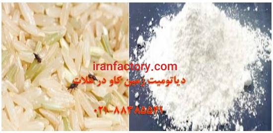 خاصیت ضد آفتی دیاتومیت Diatomite