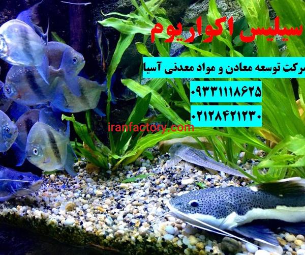 شن سیلیس کف آکواریوم