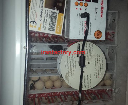 فروش دستگاه جوجه کشی در قرچک