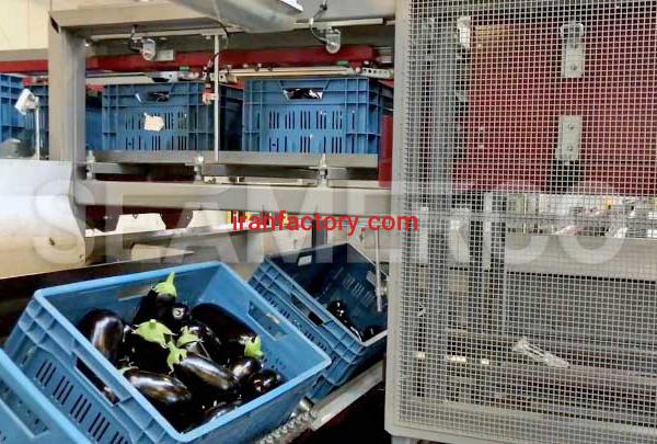 سازنده خط تولید کنسرو خاویار بادمجان سیمرکو تهران