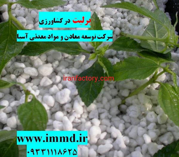 کاربرد پرلیت درکشاورزی