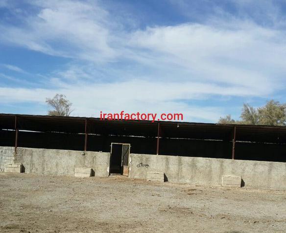 فروش دامداری صنعتی در کرمان