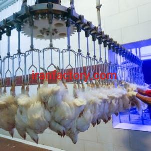 فروش کشتارگاه طیور مرغ