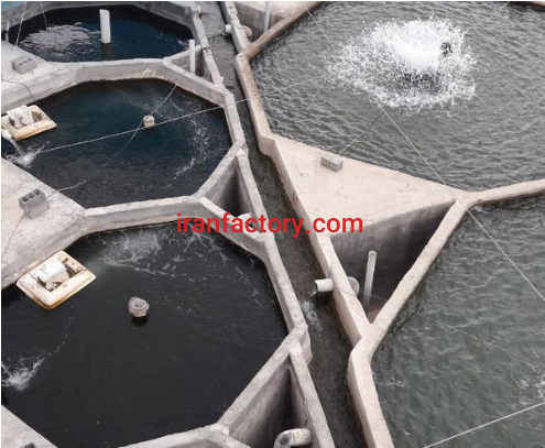 فروش 2000 متر مزرعه پرورش ماهی قزل آلا در شیروان