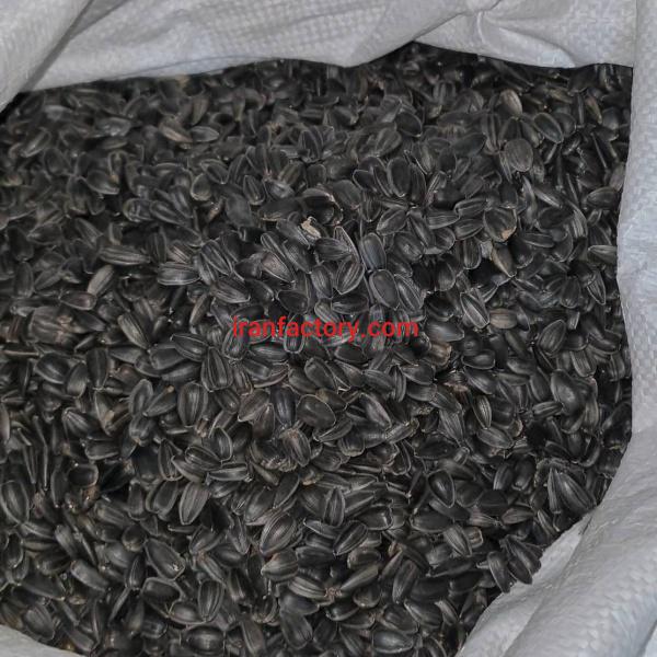 Продам подсолнух оптом Мешхед