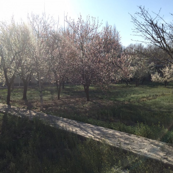 فروش ویلا محمد شهر کرج