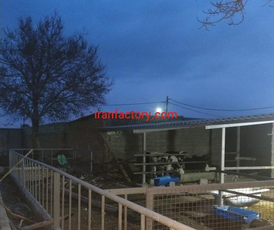 فروش گاوداری در کرج