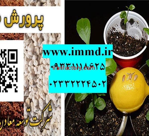 فروش بستر کشت نهال مرکبات