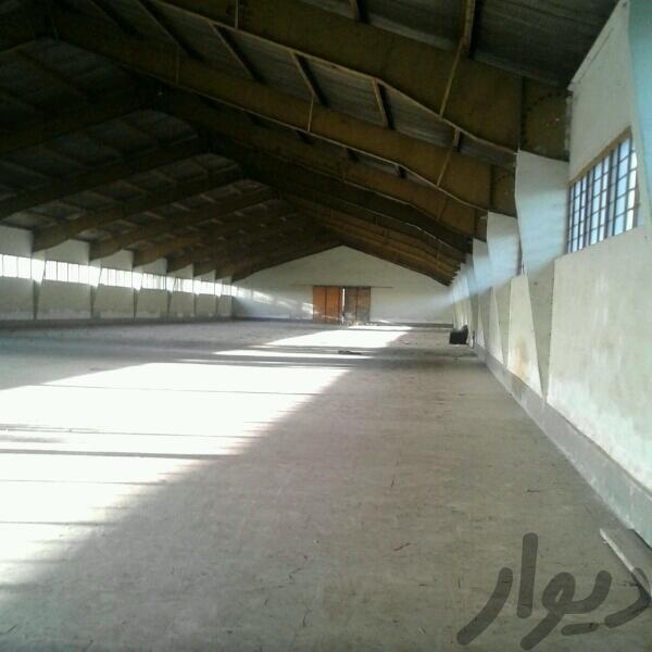 فروش زمین کارخانه ۴۰ هزار متری در قزلحصار کرج