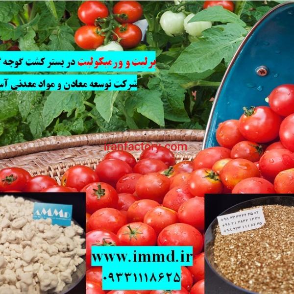 فروش پرلیت و ورمیکولیت در بستر کشت هیدروپونیک
