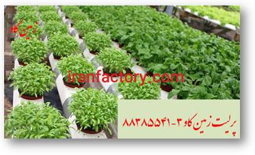 مزیت‌های استفاده از پرلیت در کشت هیدروپونیک perlite