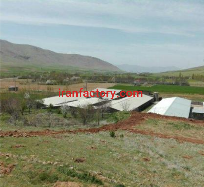 فروش 2 هکتار مرغداری صنعتی در کرمانشاه