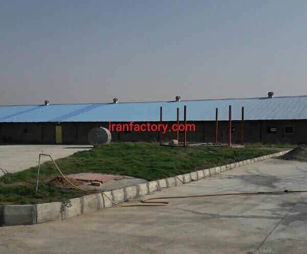 فروش یا معاوضه مرغداری ۳۵۰۰۰ هزاری در همدان