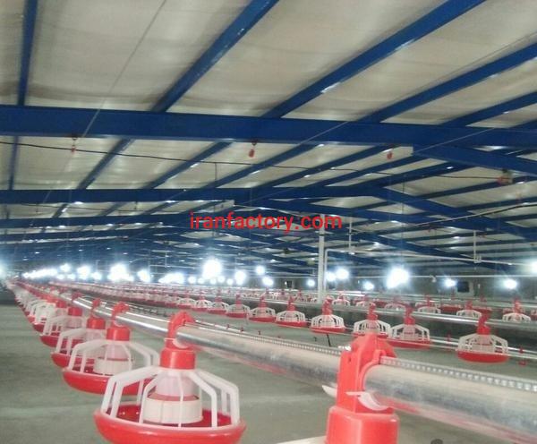 اجاره مرغداری صنعتی 20 هزار قطعه ای گوشتی در تهران