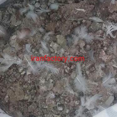 خرید نقدی کود کبوتر در هر تناژ