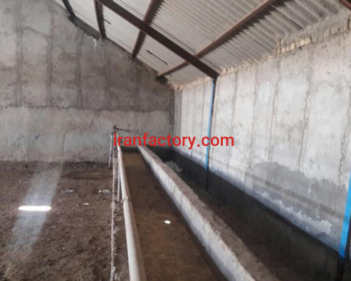 فروش گاوداری 762متری در کرج