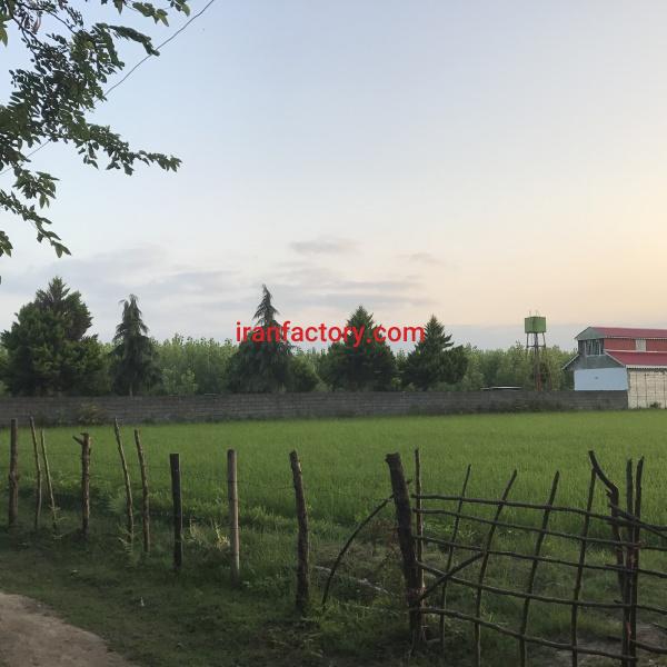 فروش کارخانه بسته بندى با وام در بندر انزلی