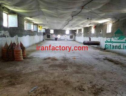 فروش 9000 متر مرغداری در لنگرود