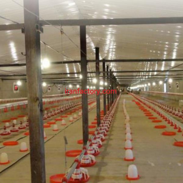 فروش مرغداری گوشتی 30000 تایی در تهران