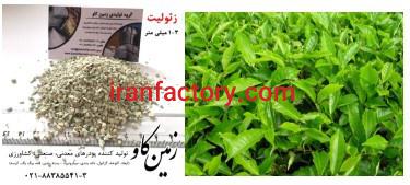 تاثیرات زئولیت در رشد گیاه (Zeolite)