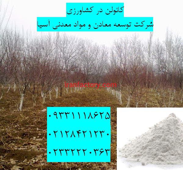 فروش کائولن در کشاورزی