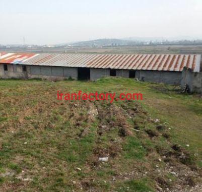 فروش 7000 متر مرغداری در قایمشهر