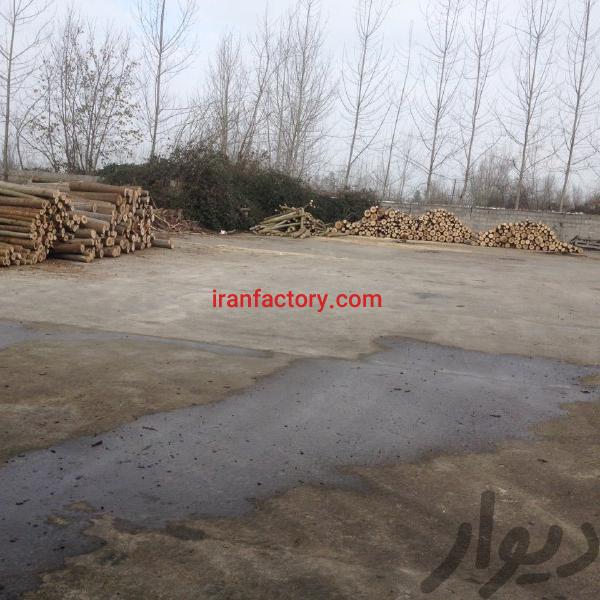 فروش کارگاه پالت سازی در رشت