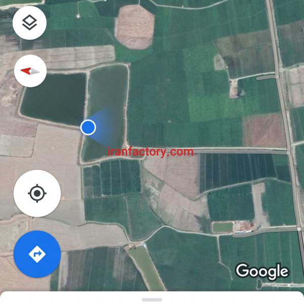 استخر پرورش ماهی و شالیزار