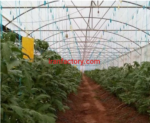 فروش ومعاوضه 2000 متر گلخانه در سنندج