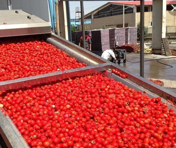 فروش کارخانه مواد غذایی 8500 متر در بروجرد لرستان