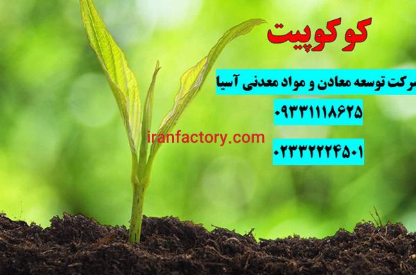 فروش کوکوپیت هندی و سریلانکائی