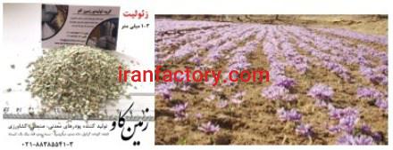 تاثیرات زئولیت در مرغوبیت محصولات کشاورزی Zeolite
